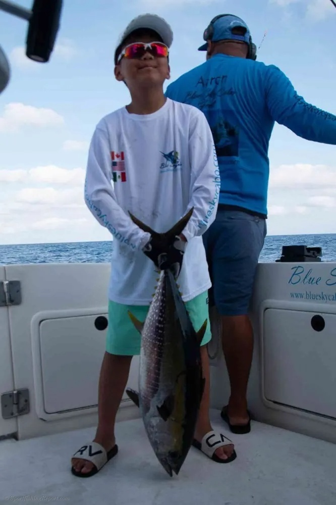 Yellowfin Tuna Deliver a Powerful Performance