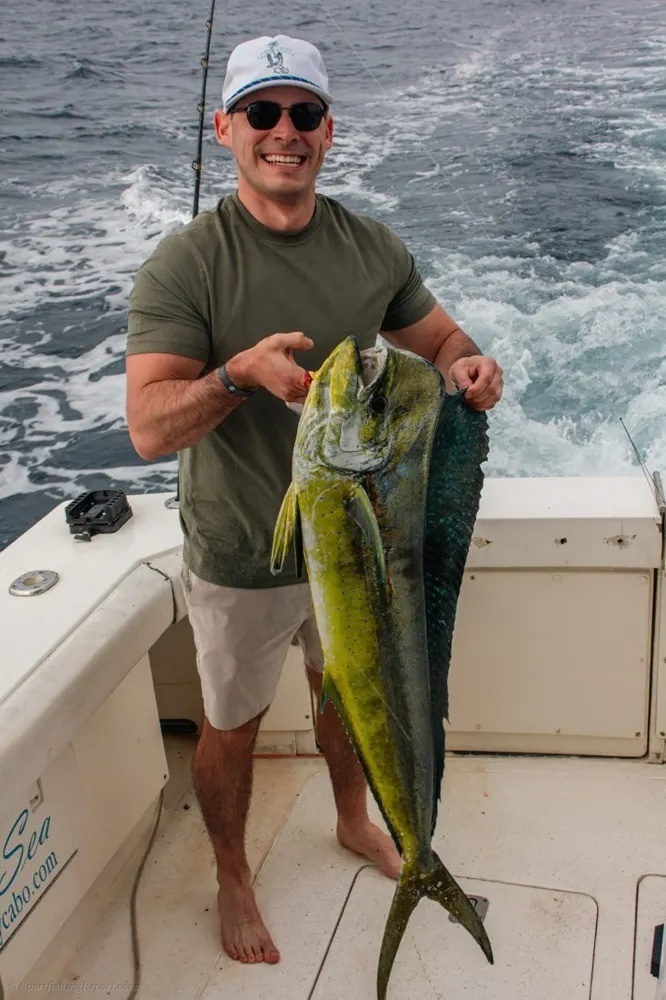 Cabo Tuna Action Produces a Memorable Fight