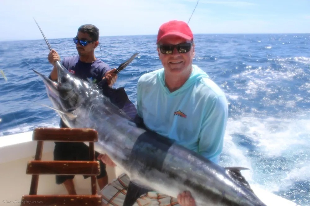 The Offshore Rush