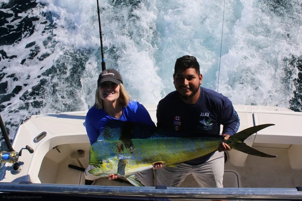 Dorado and Wahoo Bring Offshore Fishing to Life