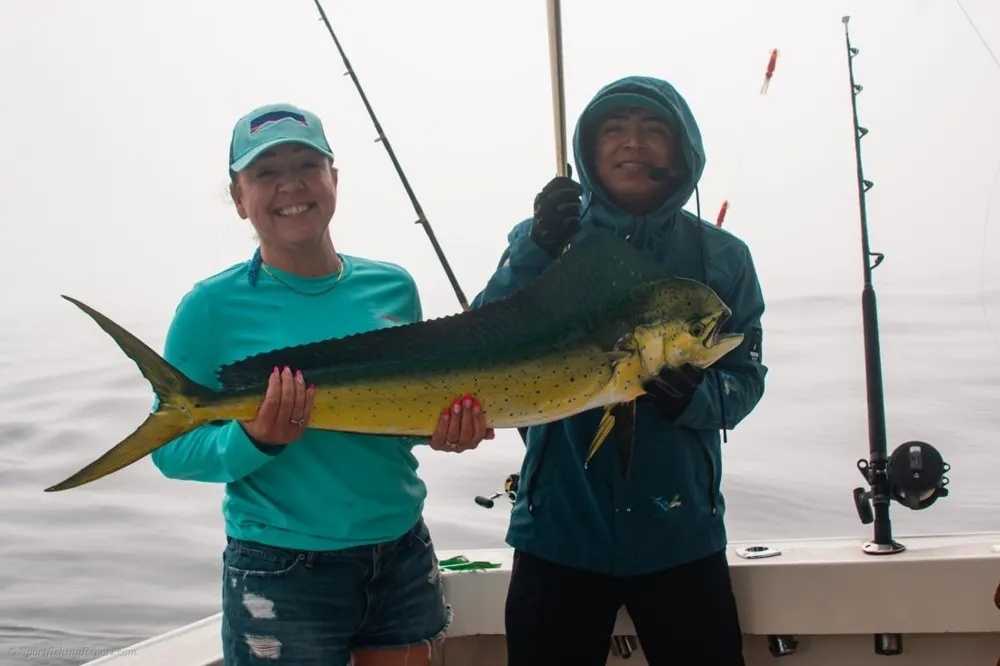 Marlin and Tuna Make an Explosive Combination