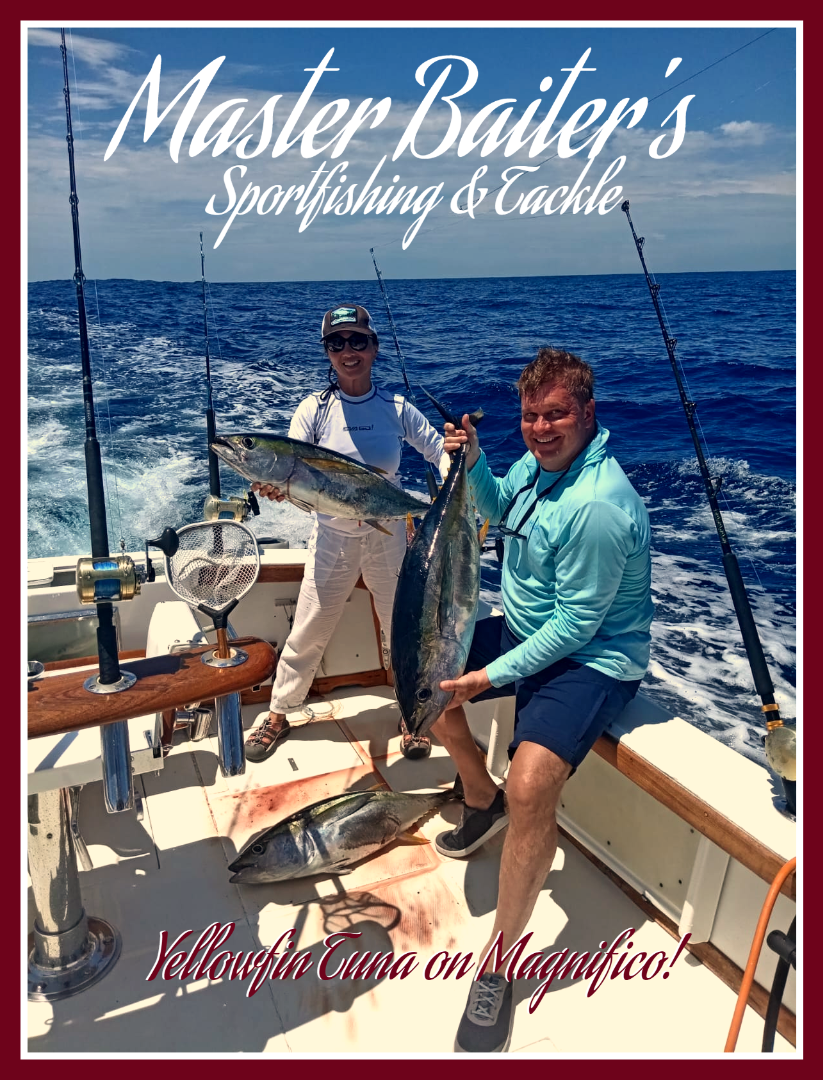 Roll The Dice Fishing, Marlin & Tuna, Waiting on Dorado
