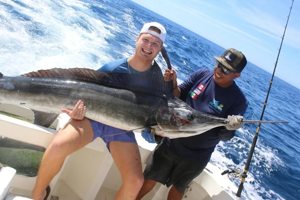 Marlin Turn Up the Offshore Excitement