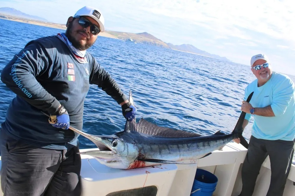 An Action-Packed Cabo Day with Marlin