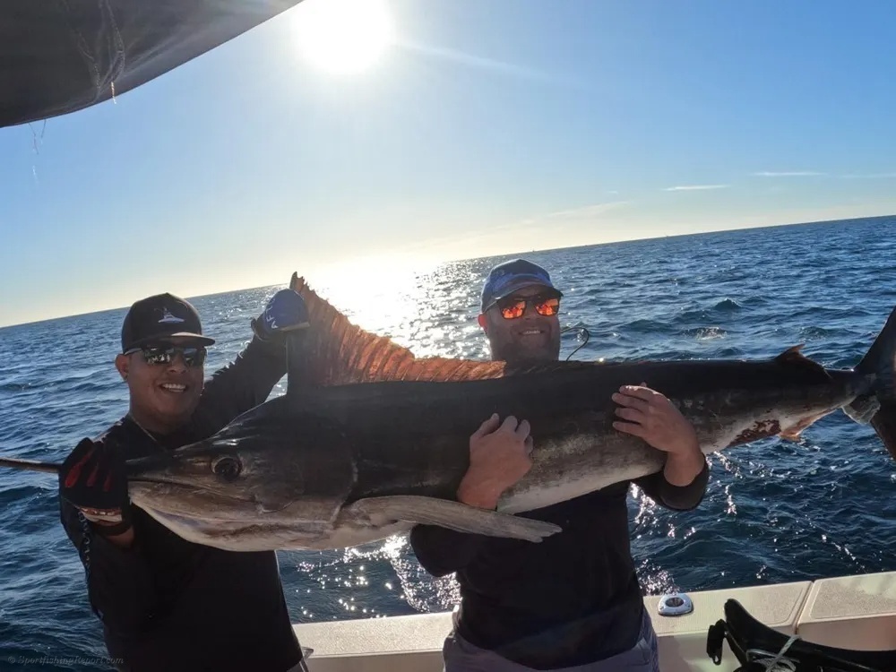 Marlin Bring Serious Excitement Offshore