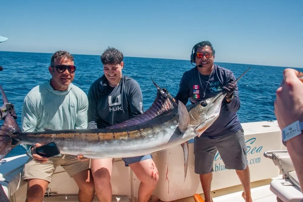 Cabo Marlin Fishing at Its Best