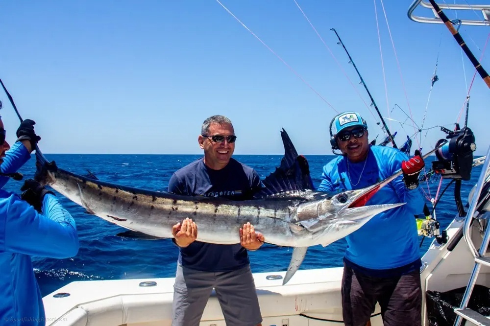 Acrobatic Marlin off the Pacific Side