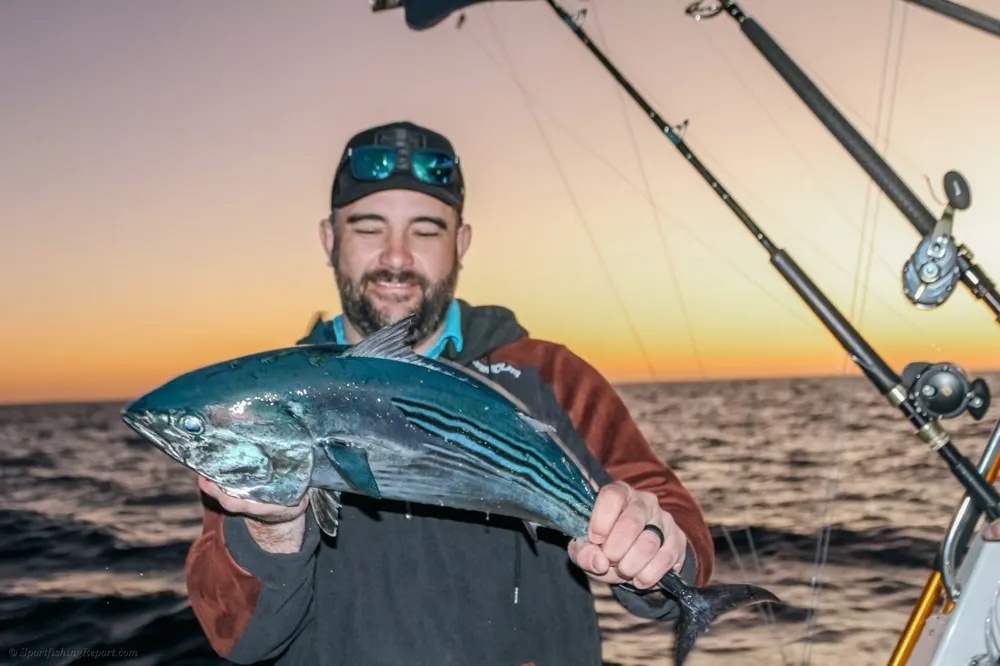 Cabo Tuna Action Produces a Memorable Fight
