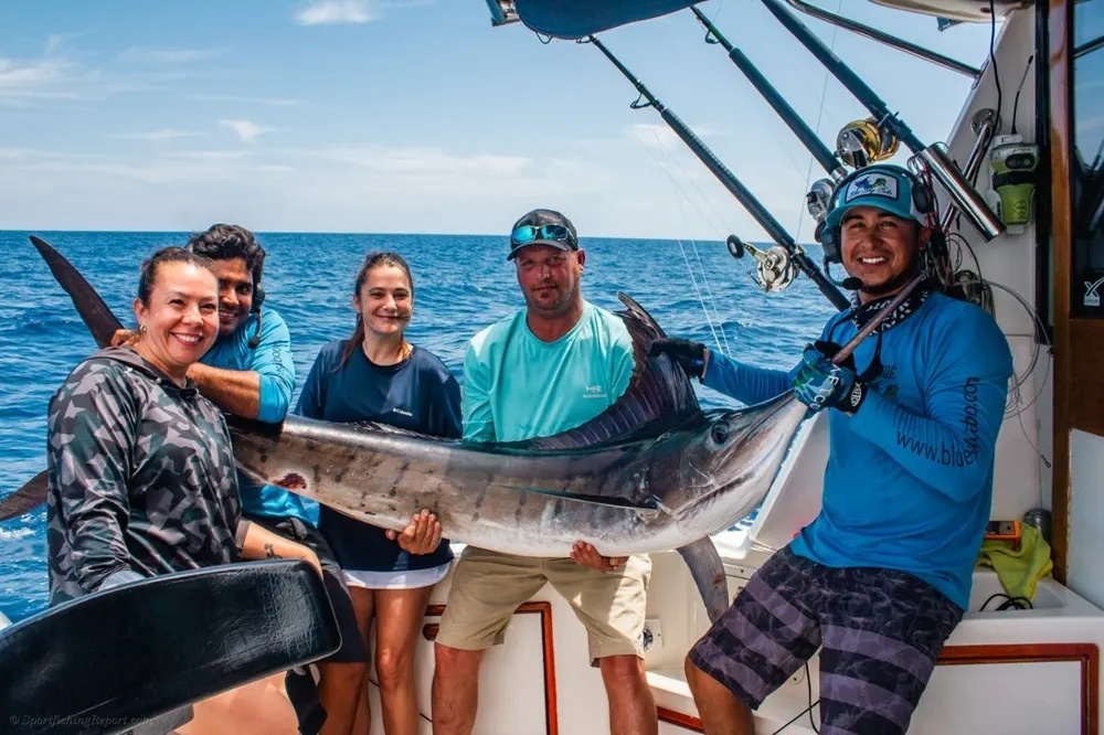 Cabo Marlin Fishing Never Disappoints