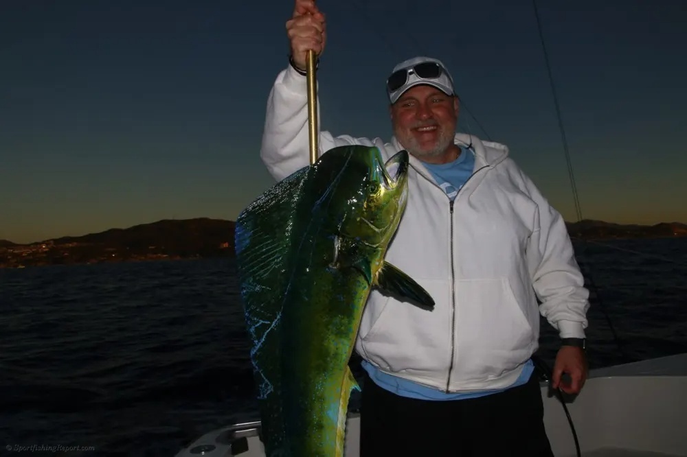 Marlin Leaps and Dorado Strikes
