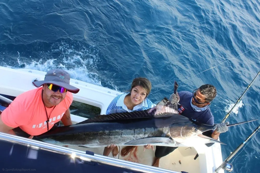 Marlin Hunt Pays Off in Cabo