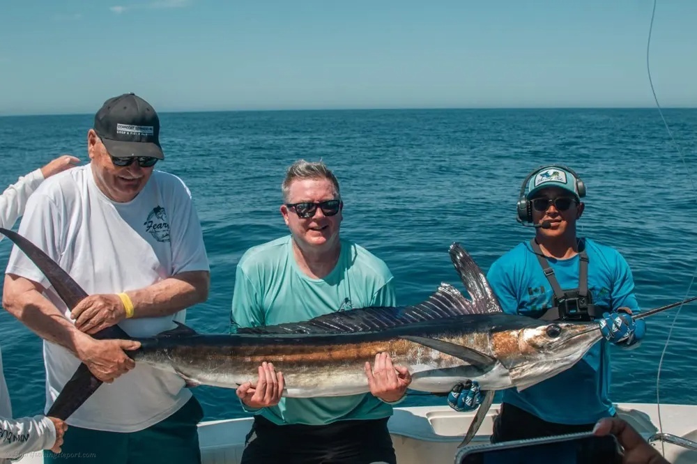 Marlin and Tuna Turn the Ocean Electric