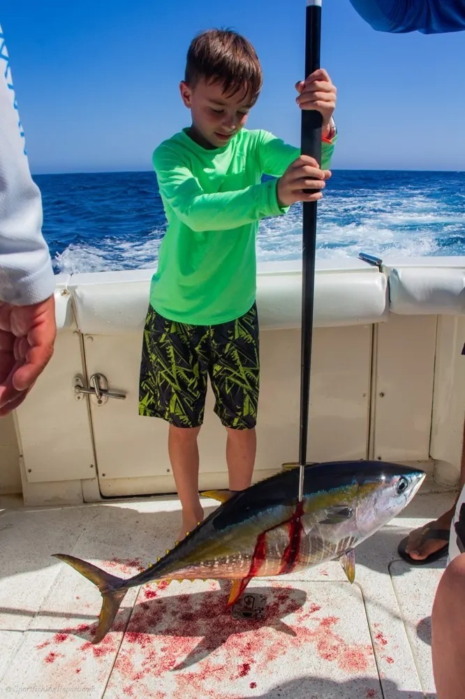 Marlin Action Puts the Crew in High Gear