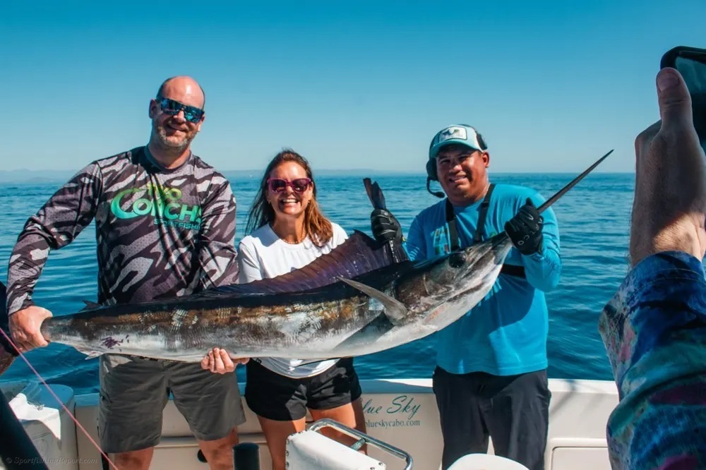Aerial Show by a Cabo Marlin