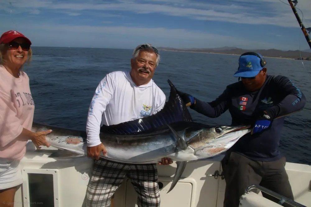 Seven Marlin! An Unbelievable Cabo Day!