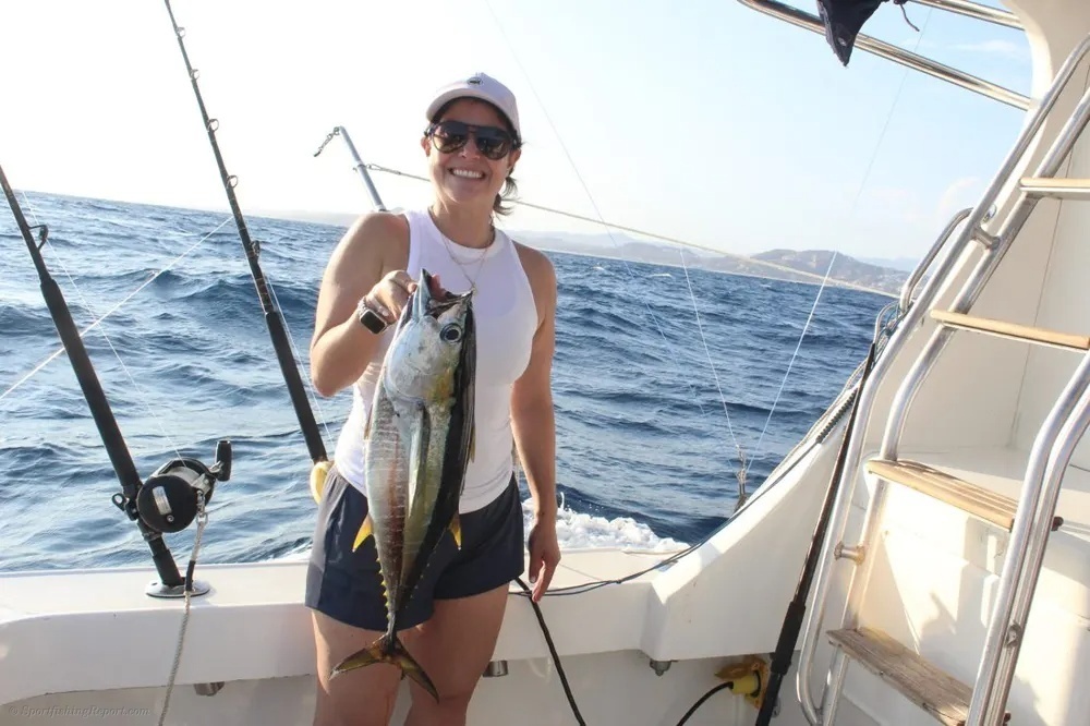 Tuna Bite Sets the Stage for an Epic Fight