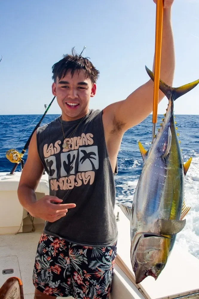 Yellowfin Tuna Make the Ocean Come Alive