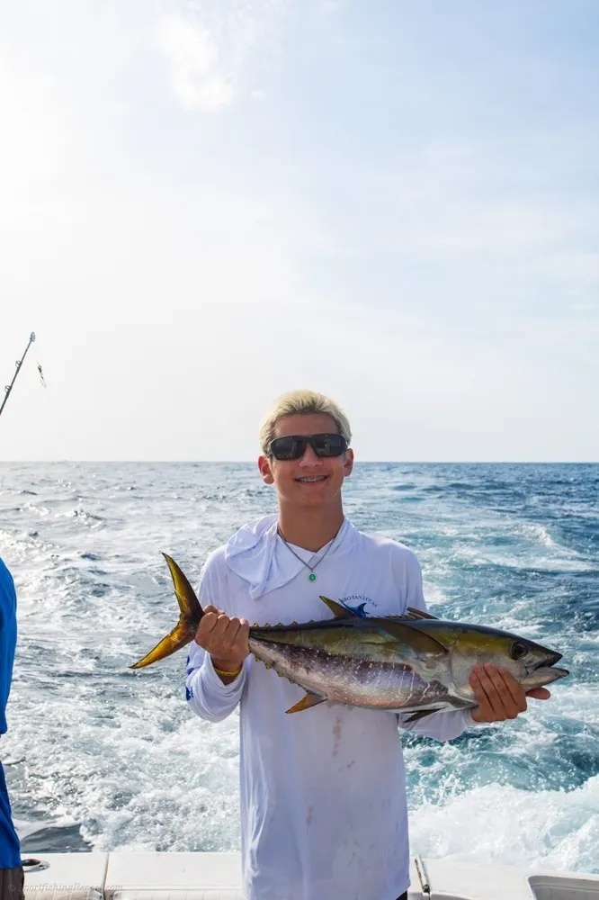 Tuna Bite Keeps the Lines Under Pressure