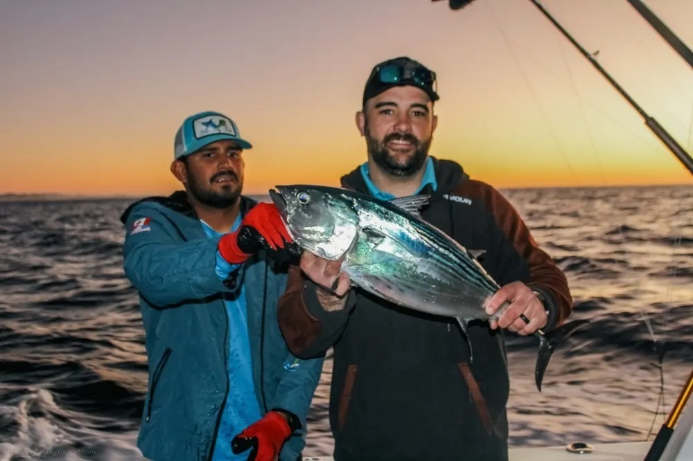 Yellowfin Tuna Make Every Hookup Count