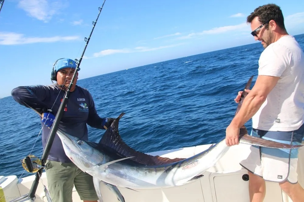 Cabo Sportfishing Shines with Marlin