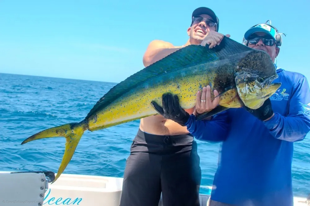 Tuna Action Ends with a Celebrated Catch