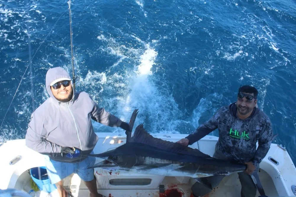 Marlin Headline a Memorable Cabo Fishing Trip