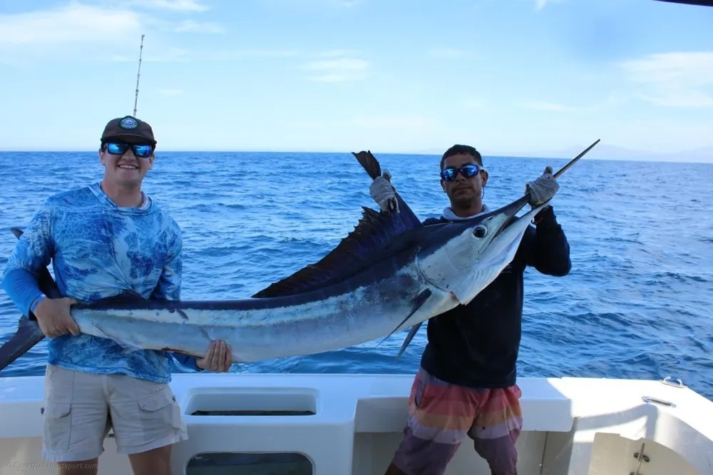 Marlin Hookups and Dorado Mayhem