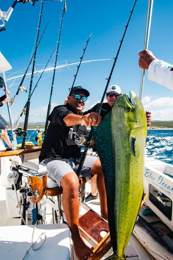 Dorado Colors Bring the Ocean to Life!