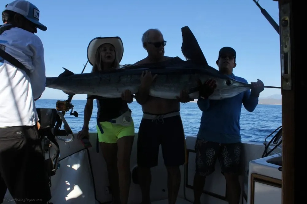 Blue Water, Marlin Bite