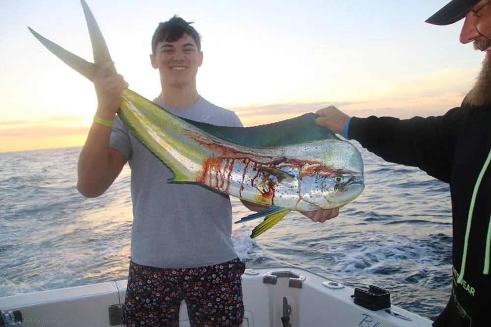 Cabo's Golden Catch Takes Center Stage!