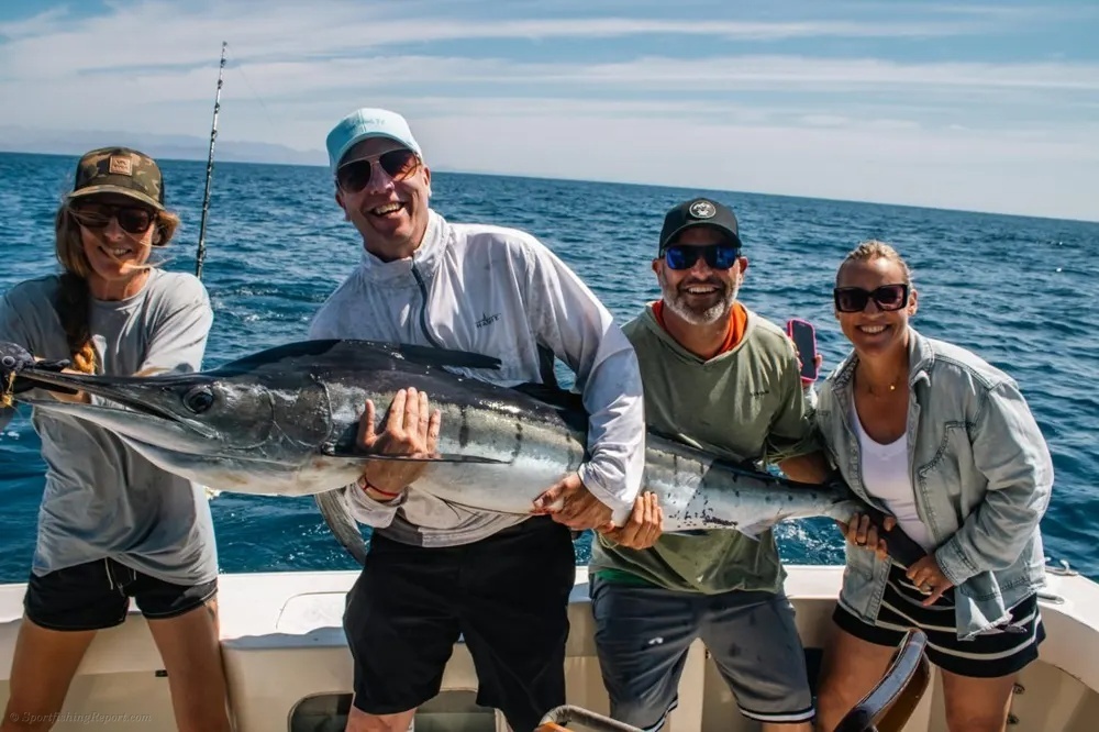Marlin and Dorado – Double the Offshore Firepower