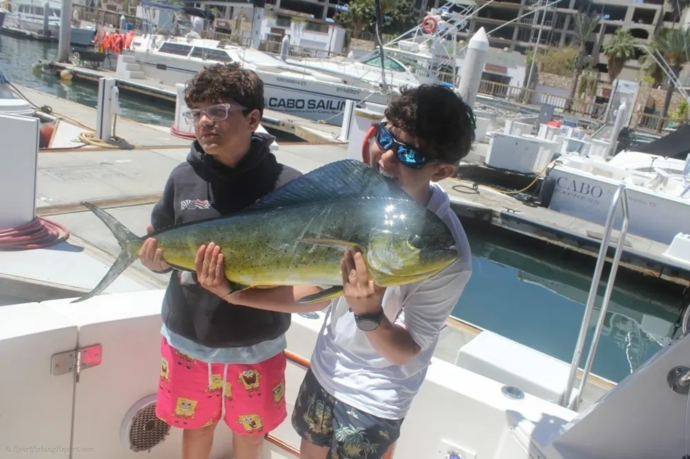 Dorado Strike in Paradise!