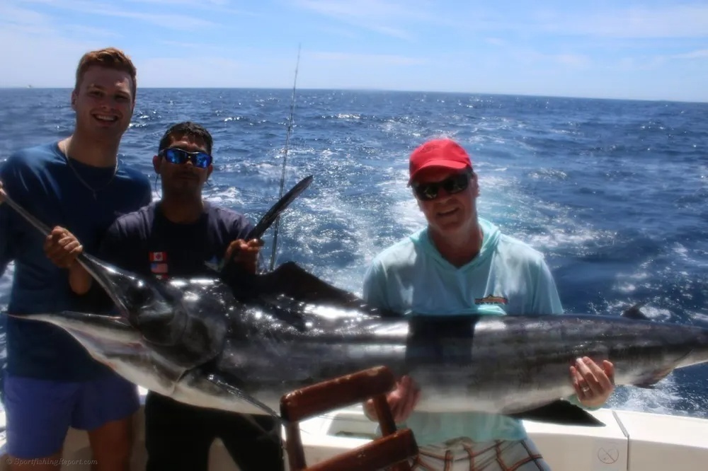 Cabo Anglers Celebrate Marlin Success