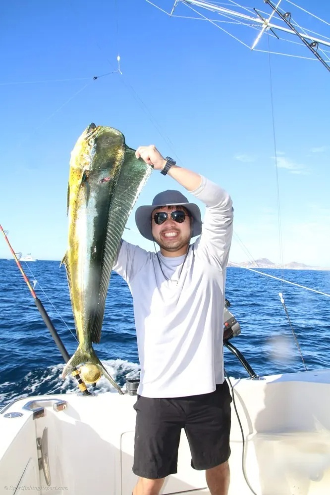 Cabo's Golden Dorado Brings the Thrill!