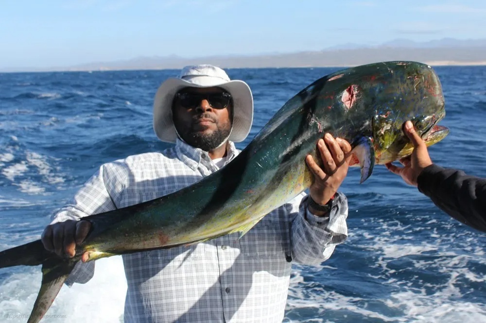 Dorado Success with Blue Sky Cabo!