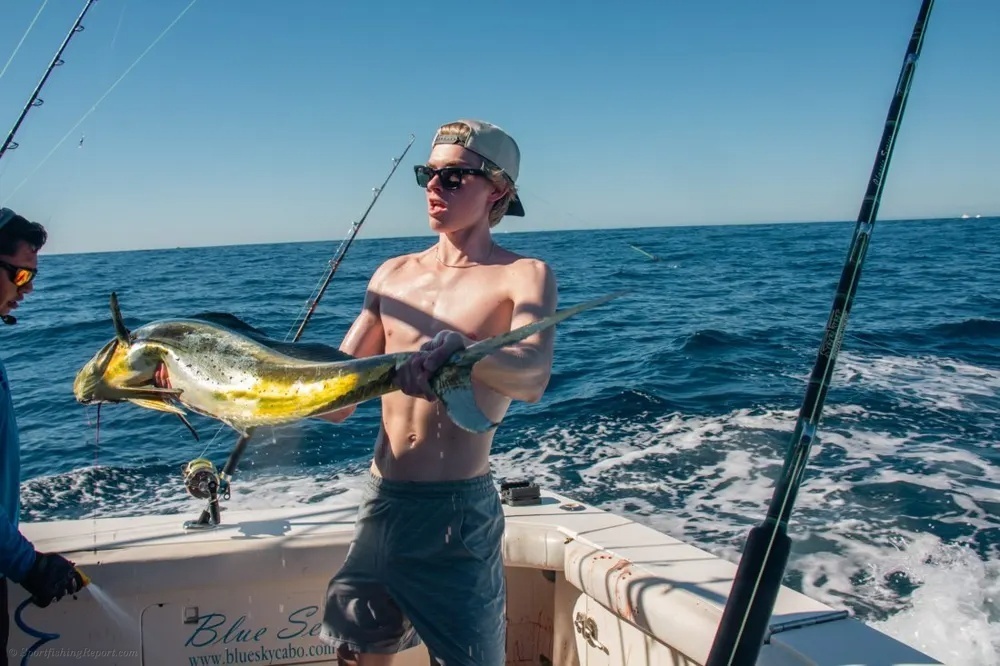 Dorado Action Offshore!