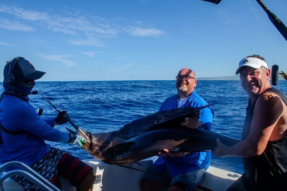 Leaping Marlin off Land's End