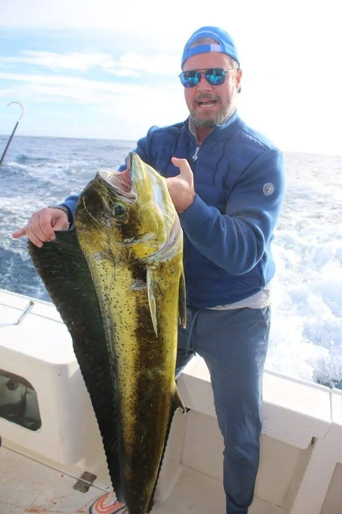 Marlin and Dorado – Offshore Action Unleashed