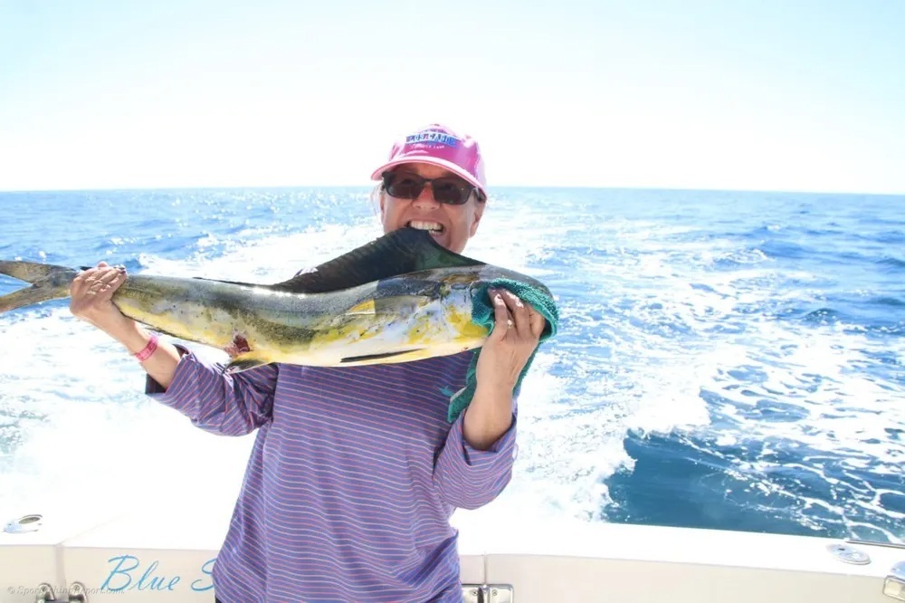 Marlin Madness and Golden Dorado Glory