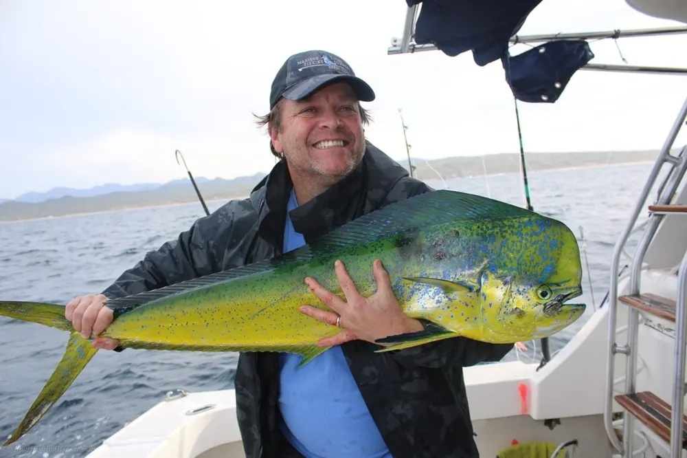 Marlin Strikes and Dorado Gold Fever