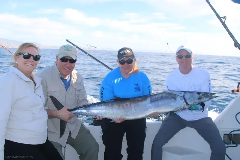 Two Exciting Species Make This Cabo Charter Special