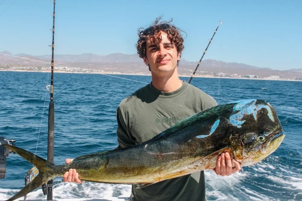 Marlin and Tuna Strike with a Vengeance