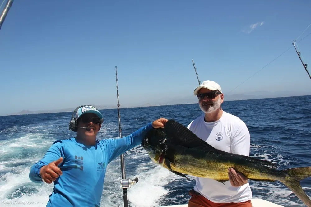 Marlin Battles and Dorado Chaos Collide