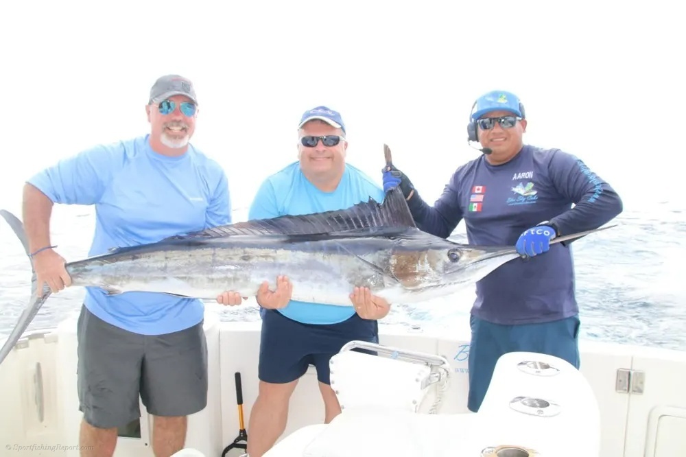 Marlin Memories off the Cabo Coast
