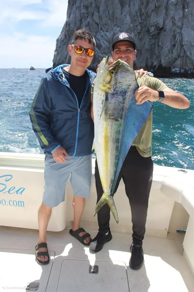 Cabo Dorado Action Makes Every Moment Count!