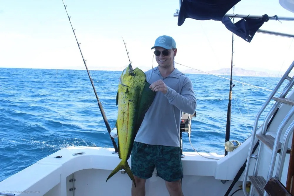Dorado Excitement from the First Strike!