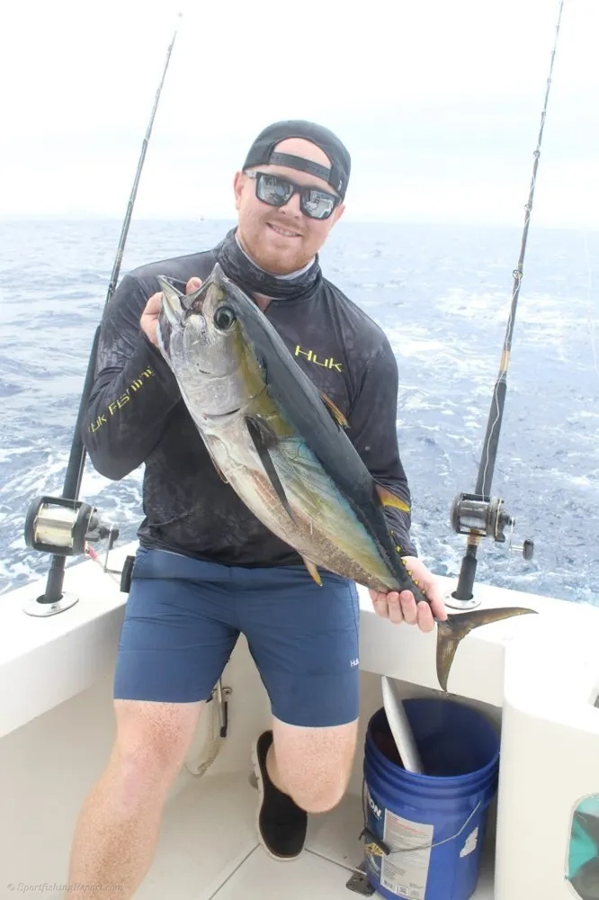 Pacific Predators – Marlin and Tuna Strike