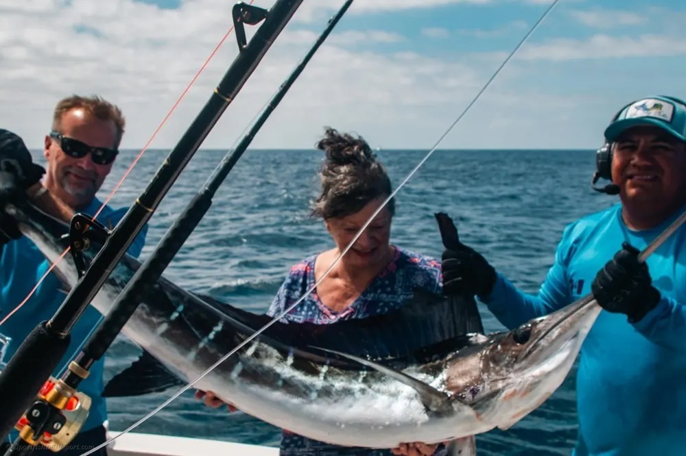 Marlin Glory and Dorado Chaos