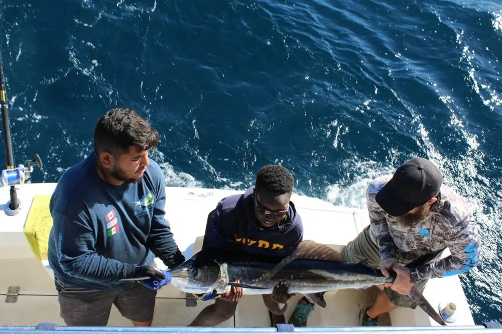 Jumping Marlin in Cabo San Lucas