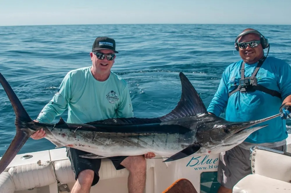 Marlin Hunt in Los Cabos